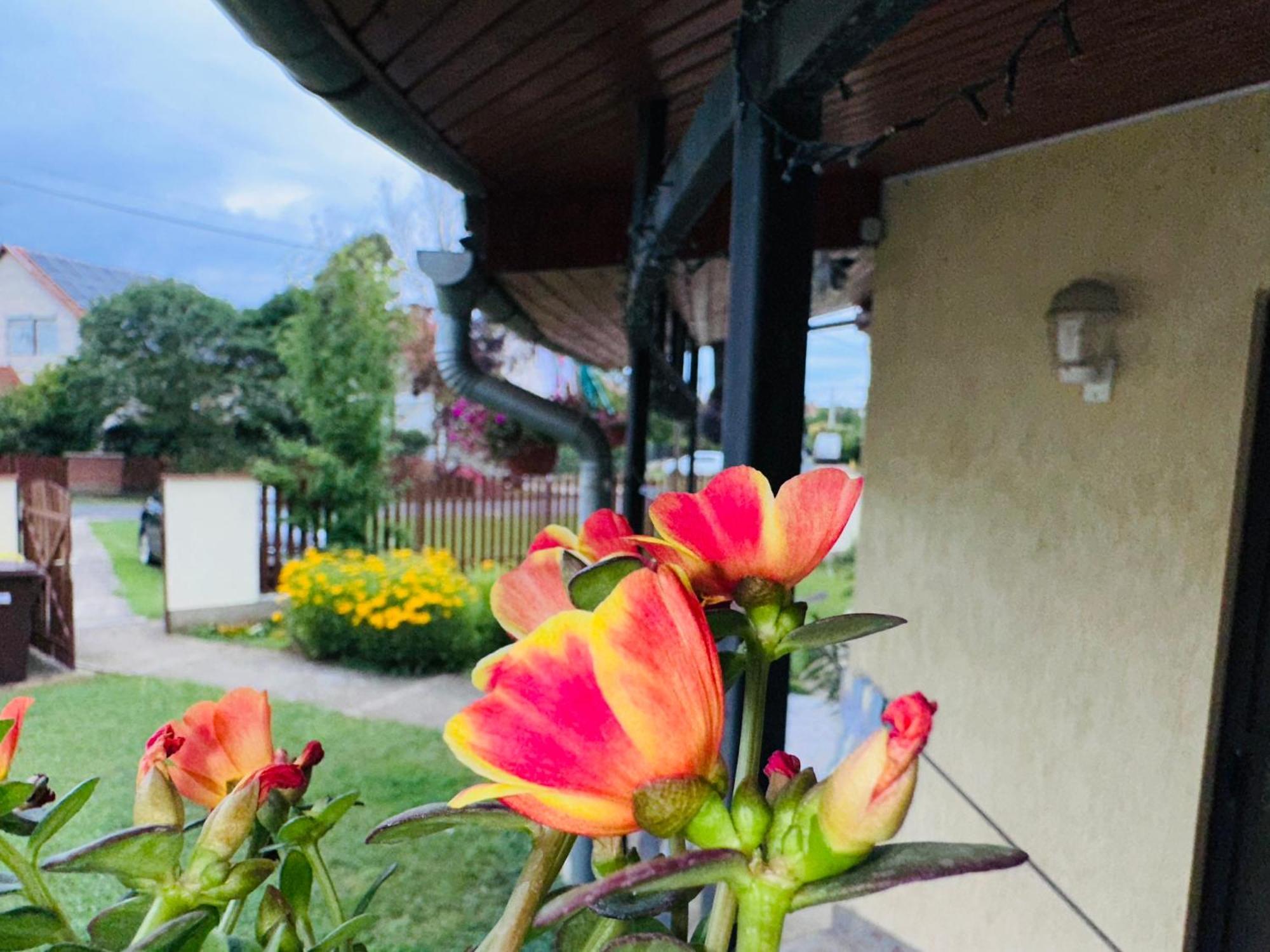 Cozy Garden Apartman Apartment Gyula Exterior photo